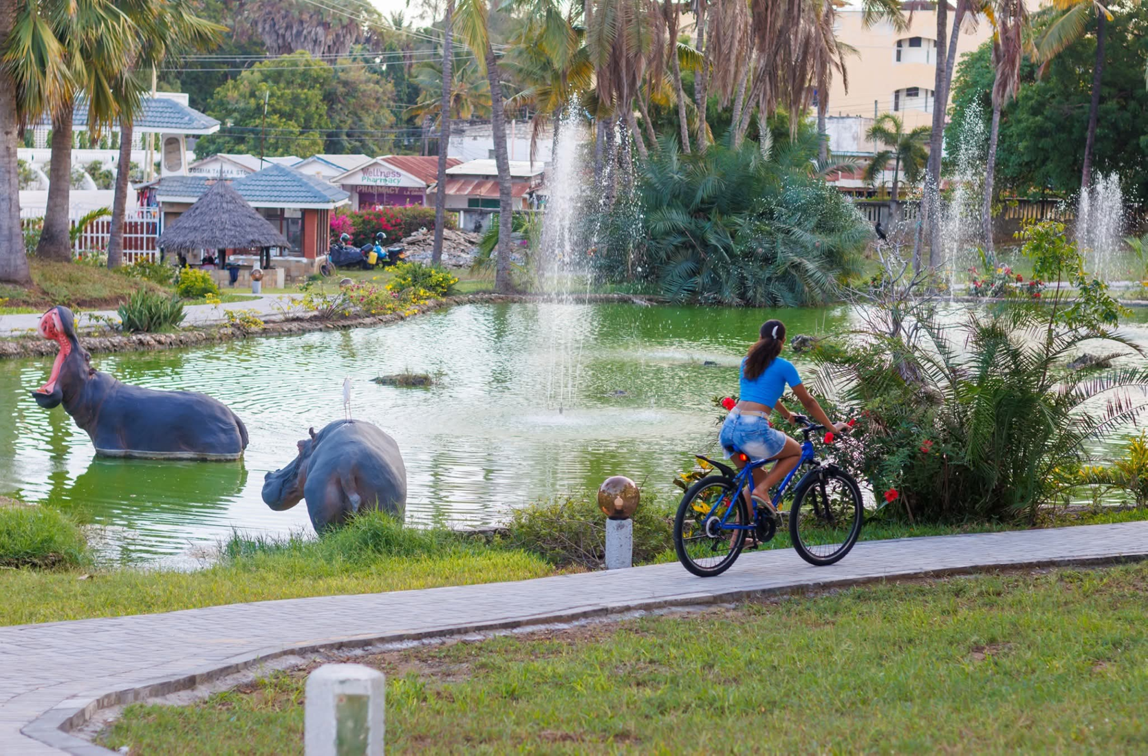 Nature Therapy Image